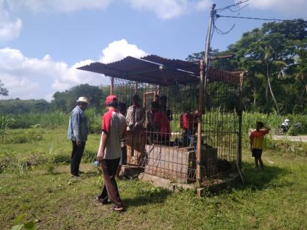 Perbaikan dan Pengembangan PAMDus Sabrang Lor